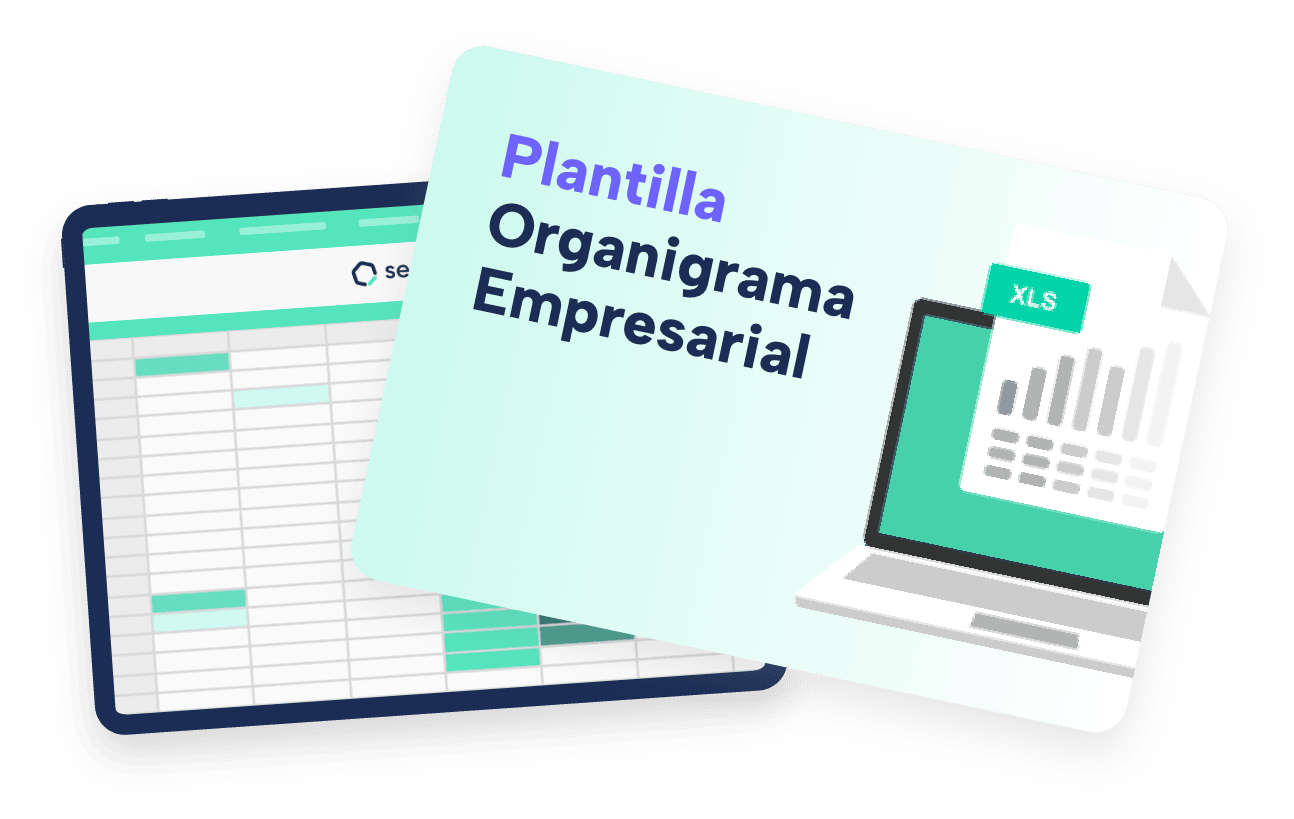 plantilla-organigrama